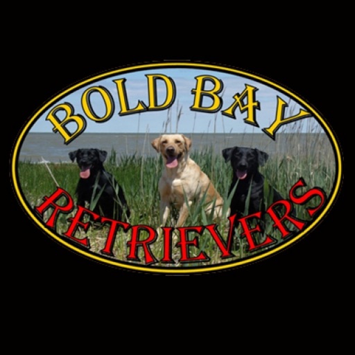 Bold Bay Retrievers icon