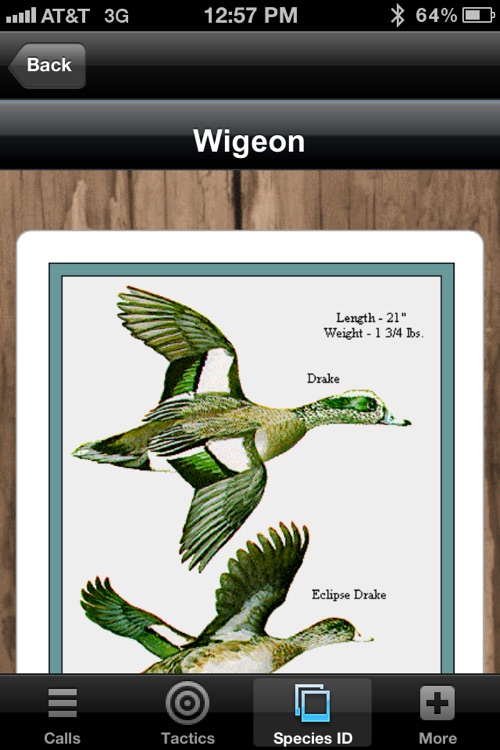 Duck Calls & Tactics screenshot-3