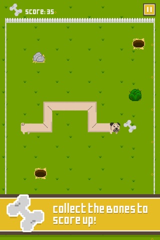 Pug Tail screenshot 2