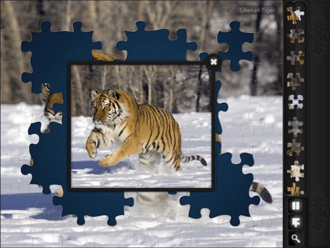 Jigsaw Puzzles: Endangered Species screenshot 3