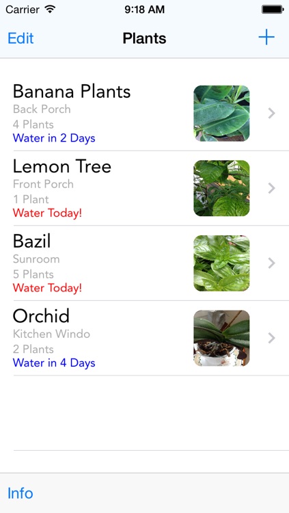 Water Your Plants!