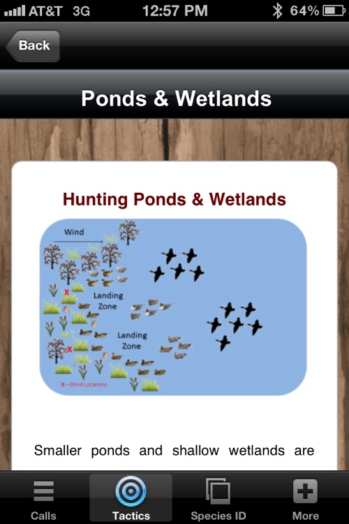Duck Calls & Tactics screenshot-4