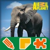 Animal Planet Activity Book - Puzzles, Mazes, Coloring, Memory Games, Sticker Albums