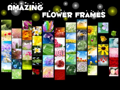 Amazing Flower Posters HD screenshot 4