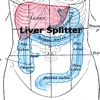 Liver Splitter