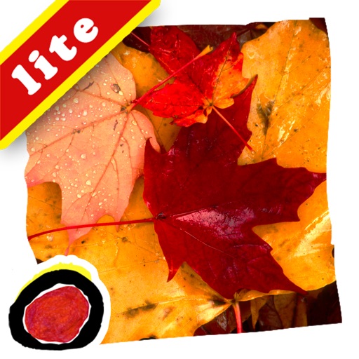 Fall Changes - Learn about how nature changes during the autumn season in this book with words and photographs by Ellen Senisi ("Lite" version by Auryn Apps)