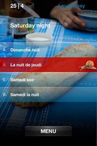 French Quiz screenshot 4