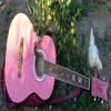 PinkGuitarFarm