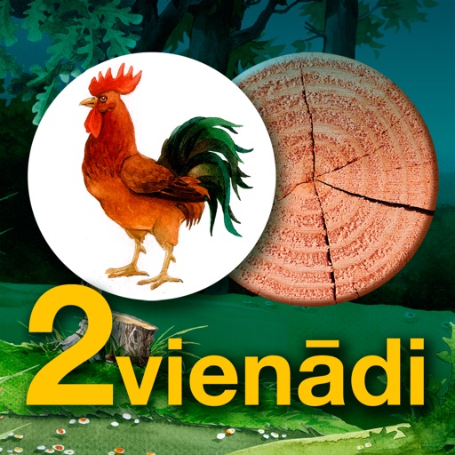 2vienādi