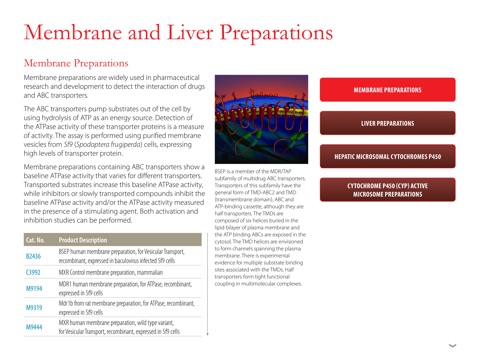 Biofiles: Predictive Tools for ADME and Toxicology Studies screenshot 3