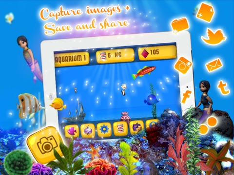 Fish Aquarium HD screenshot 3