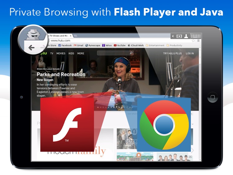 privateBrowser with Flash Player - iPad edition