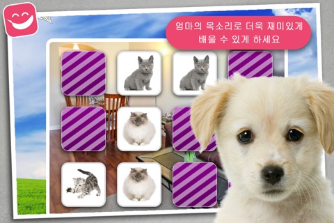 Memo Game Pets Photo for kids young childrens toddler screenshot 4