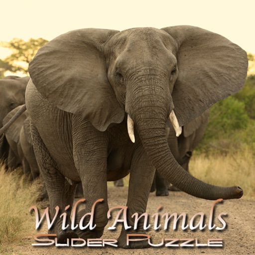 Wild Animals Slider Puzzle HD icon