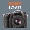 Sony A77 EasyApp