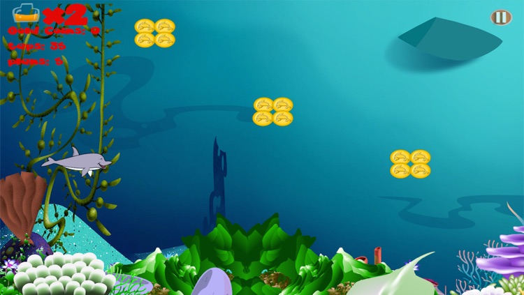 Wild Dolphin Flipper Friend's! - FREE Game