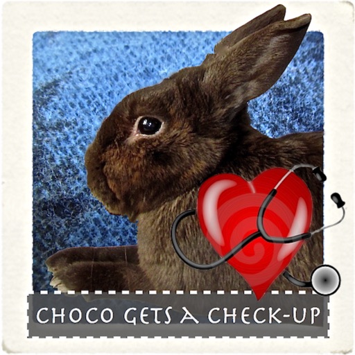 Choco Gets A Check Up icon