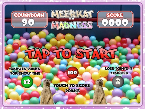 Meerkat Madness! - whack a Kat screenshot 3