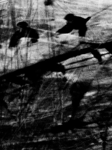 capture d’écran 1