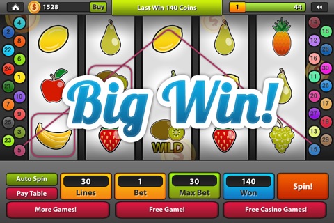 Fruit Casino - Slot Machine with Bonus Games screenshot 4