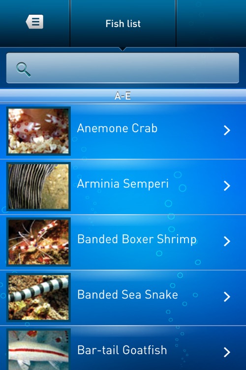 Dive Guide