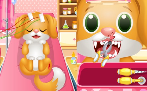 Pet Dentist & Vet Doctor screenshot 3