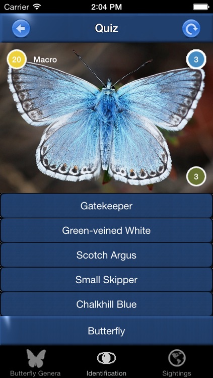 Butterfly Id - The British Identification Guide to Butterflies screenshot-3