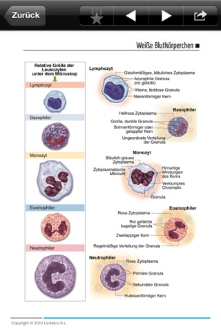 Miniatlas Hematology screenshot 2