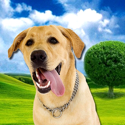 A Pet Dog HD icon