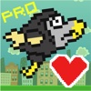 Frapping Dodo Bird - Pro