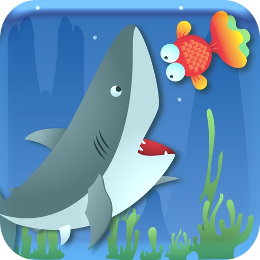 Splashy Shark - Flying Bird Fish with Splashy Wings icon