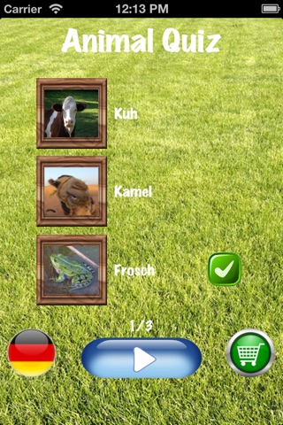 My Animal Quiz screenshot 4