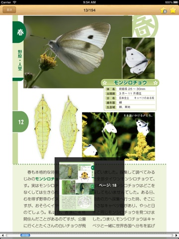 公園で探せる昆虫図鑑のおすすめ画像5