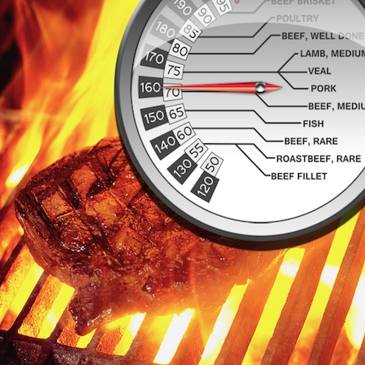 Grill & BBQ Infrared IR Thermometer