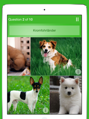 iKnow Dogs Quizのおすすめ画像3