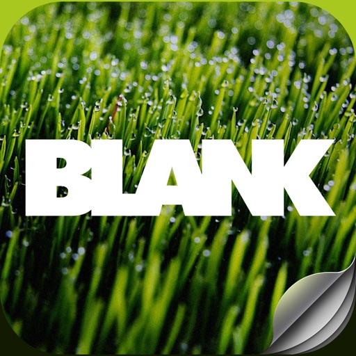 Журнал BLANK icon