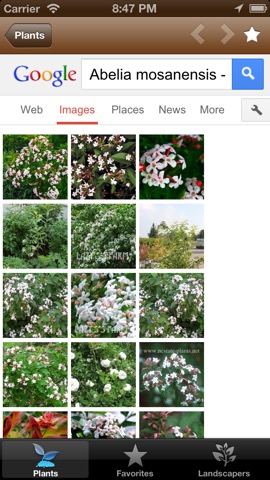 Plant Pictures - Plant Picture Guide for Gardeners and Landscapersのおすすめ画像3