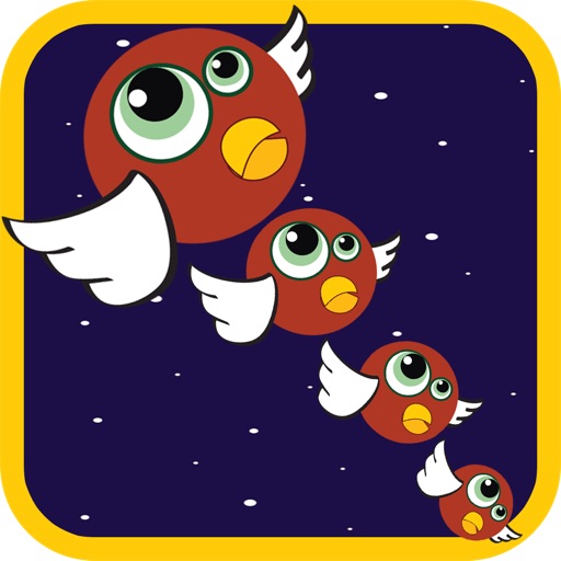 Angry Owl iOS App