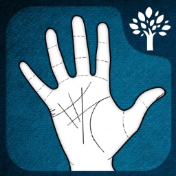 Palm Reader : Scan Your Future