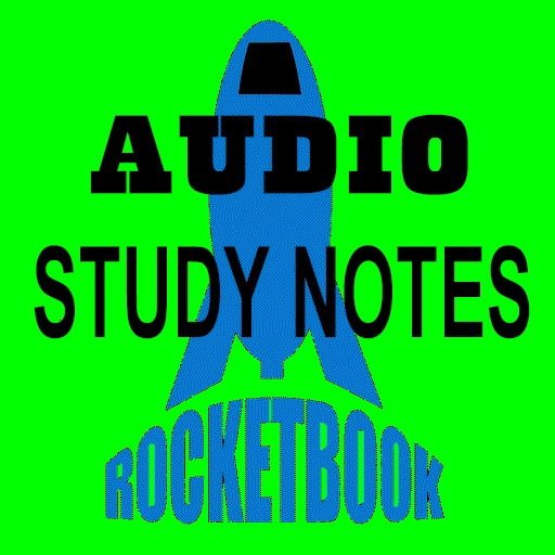 Huckleberry Finn Audio Study Guide