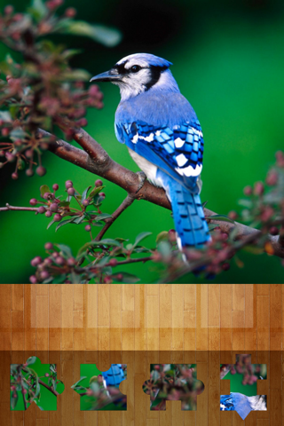 Simply Jigsaw screenshot 3