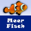 MeerFisch