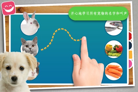 Free Teach me Pets Photo, Learn where the cat sleeps and what the dog eats screenshot 2