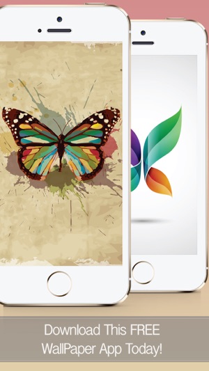 Butterfly Wallpapers, Backgrounds & Themes - Download Free H(圖1)-速報App