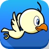 Crazy Flappy Bird - Little birdie flying adventure