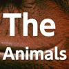 The Animals