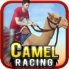 Camel Racing ( 3D Racing Game )