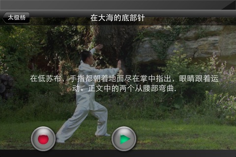 Easy Tai Chi screenshot 3