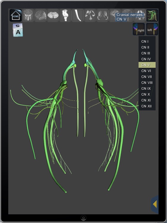 The Complete Human Brain PRO screenshot-4