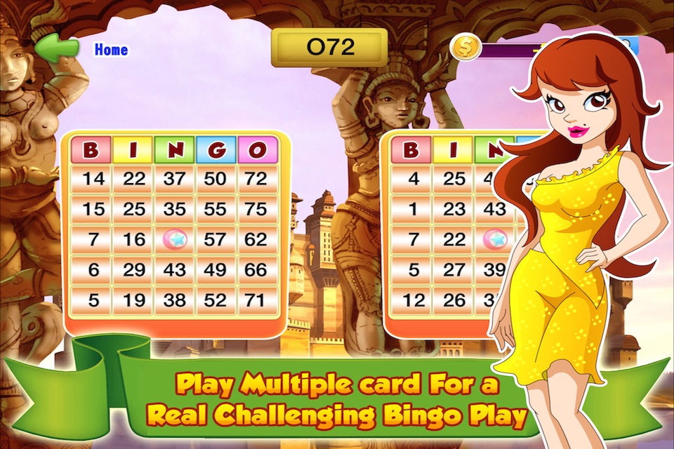 Bingo Master Deluxe Casino - HD Free screenshot 3